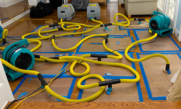 Professional Water Damage Restoration technician working in Mica, WA